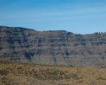 DSC_1386.JPG