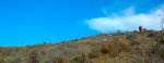 DSC_1432.JPG