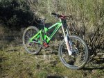 DSC02354-1.jpg