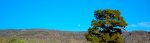 DSC_1442.JPG