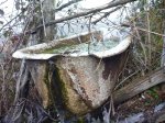 P1080510_800x600.jpg