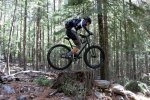 jones stump jump.jpg