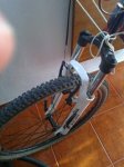 Foto0444 - copia.jpg