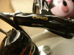 DSC04873.JPG