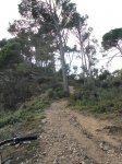 DSC02217.JPG
