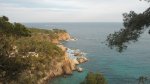 DSC02219.JPG