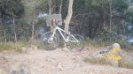 DSC02225.JPG