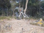 DSC02226.JPG