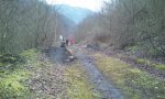 2012-02-09 17.52.47.jpg