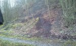 2012-02-09 17.54.09.jpg