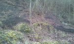 2012-02-09 17.54.32.jpg