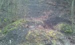 2012-02-09 17.54.42.jpg