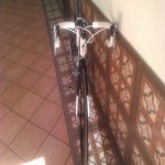 IMAG0142.jpg