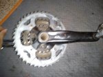 DSC00115.jpg