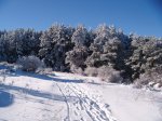 DSCF2053.jpg