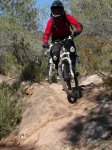 SAM_0678 (Copiar).jpg