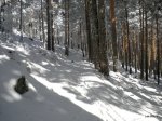 DSCN3950.JPG