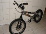 DSC00528.JPG