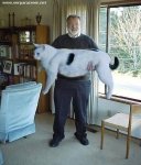 gatillo9ex[1].jpeg