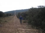 sonseca.JPG