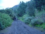 DSC00439.JPG