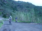DSC00450.JPG