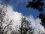 IMG_2075.jpg