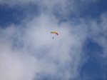 IMG_2106.jpg