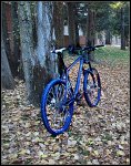 bici.jpg