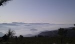 IMAG0334.jpg