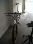 IMG00156-20111031-0827.jpg