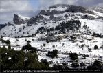 malle12st05-view.jpg