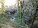 120220124229_1024x768.jpg