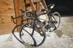 DSC00774.jpg