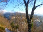 Foto1.JPG