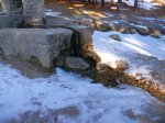 Foto7.JPG