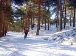 Foto9.JPG