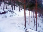 Foto16.JPG