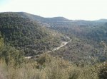 IMG-20120212-WA0006.jpg