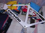 DSCN0415 - copia.JPG