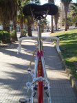 DSC00307.JPG