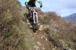 ds_DSC08568.jpg