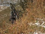 IMG_2874.JPG