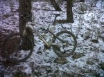 IMG-20120212-WA0004.jpg