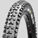 maxxis minion.jpg