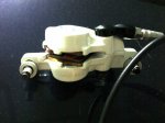 IMG-20120212-00254.jpg