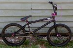 2012whipblk.JPG