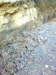 Imagen0859.jpg