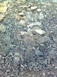 Imagen0860.jpg