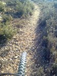 Imagen0863.jpg